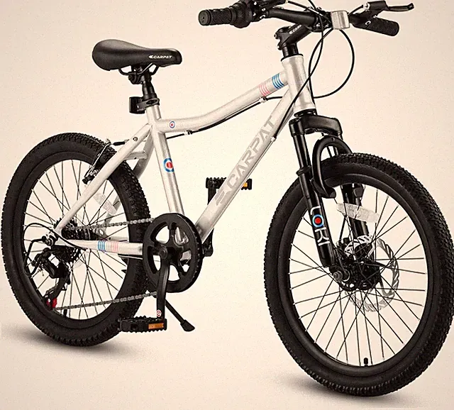 20-inch Youth Bicycle, 7-Speed Mountain Bike, Suitable for Children Aged 6-12.