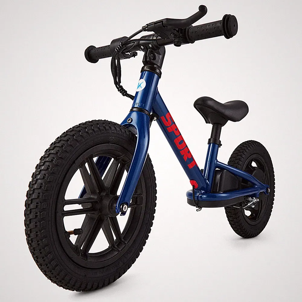 Kids Electric Bike 12 inch Electric Balance Bike with 2 Speed 24V 100W E-Bike